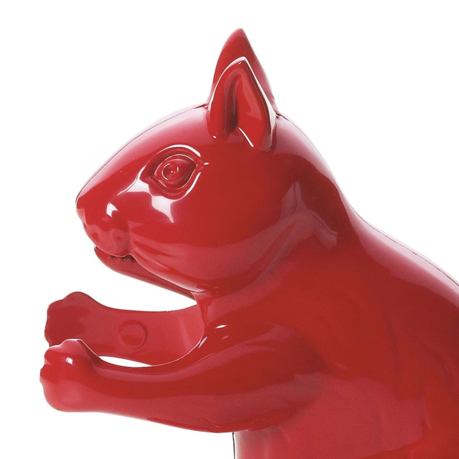 Rompinoci, scoiattolo, rosso - immagine 4